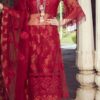 NOOR BY SADIA ASAD NET MASTER REPLICA
