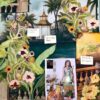 ASIFA NABEEL Lawn Master Replica 2019