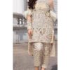 ERUM KHAN Organza And Net Master Replica 2019