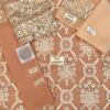 AGHA NOOR Organza And Net Master Replica 2019