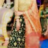 DESIGNER Maysuri And Chiffon Master Replica 2019
