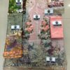 SOBIA NAZIR Lawn Master Replica