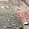 Beautiful ANNUS ABRAR Organza A+Copy 2019 - Image 3