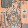 Elegant DESIGNER Chiffon Party Wear Master Replica - Image 2
