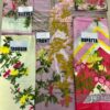Stylish SANA SAFINAZ Lawn