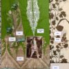 Modish SANA SAFINAZ Collection In Lawn Master Replica 2019 - Image 2