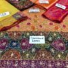 Adorable Maysuri ALIZA WAQAR Bridal Collection Master Replica 2019 - Image 2