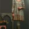 Modern Maysuri ANNUS ABRAR Collection 2019 Master Replica