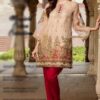Trendy Maysuri Designer Party Wear Dress Master Replica 2019