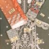 Exquisite GULAAL Net Party Wear Master Copy 2019 - Image 2