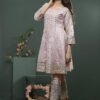 Trendy Organza NAKOOSH Party Wear Copy 2019