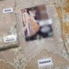 Stylish Organza ANAYA Suit Master Replica 2019 - Image 3