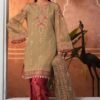 Chiffon Party Wear