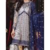 Chiffon Party Wear