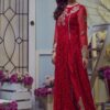 Chiffon Party Wear