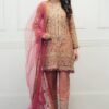 Amazing AISHA IMRAN Net Party Wear Master Replica Collection 2020