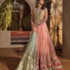 Fashionable MARIA B Bridal Net Master Replica 2020