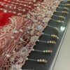 Fashionable KASHEE’S Bridal Collection Net Master Replica 2020 - Image 4