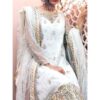 Chiffon Party Wear