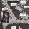 Bridal Collection