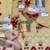 Famous AGHA NOOR Organza Collection Master Replica 2020 - Image 2