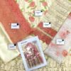 AGHA NOOR Organza