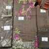 Baroque Lawn Collection 2020 - Image 2