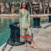 net design party wear dress