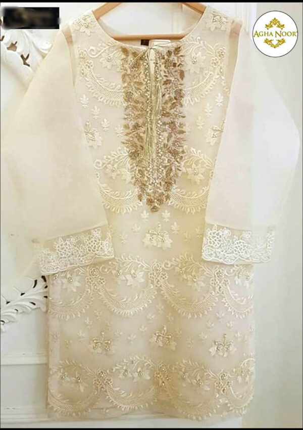 AGHA NOOR Organza Suit 2020