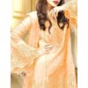 Anaya Net Party Wear 2020