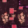 Barouqe Chiffon Collection 2020 - Image 2