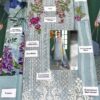 Gul Ahmed Lawn Collection Replica 2020 - Image 2