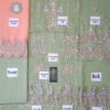 MARIA B Chiffon Suit