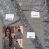 AYEZA KHAN Chiffon Saree Collection Replica 2020 - Image 2