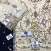 EMAAN ADEEL Chiffon Suit Replica 2020 - Image 2