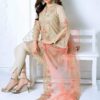 Gul Ahmed Beige Net Dress Master Replica 2020