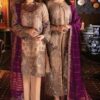 IMROZIA Chiffon Party Wear Replica 2020