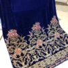 RANG RASIYA Velvet Shawl Collection Replica 2020 - Image 3