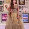 Kashees Net Wedding Collection Replica 2020