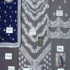 ZAINAB CHOTTANI Chiffon Party Wear Replica 2020 - Image 2
