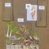 Limelight Embroidered Kurti Master Replica 2020 - Image 2