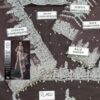 SOBIA NAZIR Net Bridal Collection Replica 2021 - Image 2