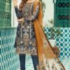 EMAAN ADEEL Chiffon Collection Replica 2021