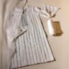 Agha Noor Party Wear Collection Replica