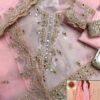 Agha Noor Party Wear Master Copy - Image 2