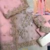 Agha Noor Party Wear Master Copy - Image 3