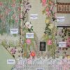 Sobia Nazir Digital Printed Lawn Replica - Image 2