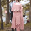 Rangrasiya Embroidered Net Collection Replica 2021