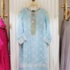 Agha Noor Organza Dress Master Copy