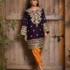 Designer Embroidered Chiffon Master Copy
